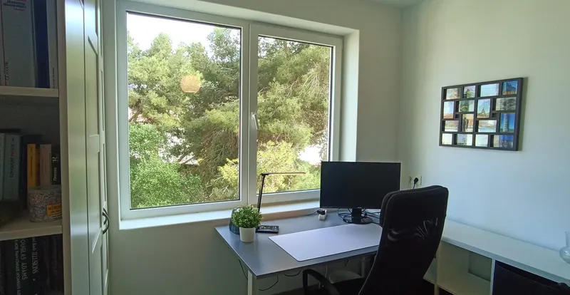 Monitor & High-Speed Fiber Telework Setup