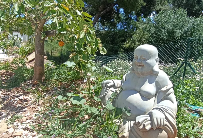 Garden Buddha Sculpture Among Blossoming Flora